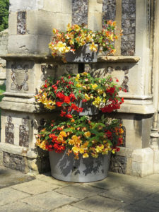 north walsham in bloom