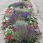 north walsham in bloom