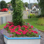 north walsham in bloom