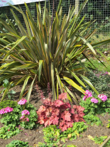 north walsham in bloom