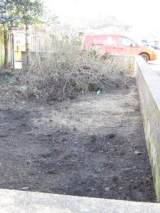 north walsham in bloom